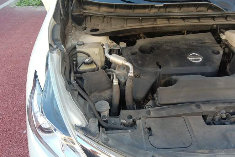 Used Nissan Murano 2019 2.5L XE Two-Wheel Drive Elite Version China VI Standard Engine Bay Right