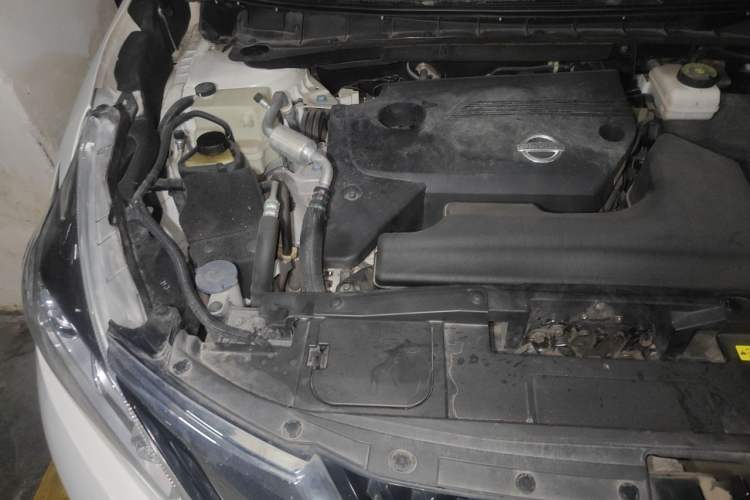 Used Nissan Murano 2019 2.5L XL Two-Wheel Drive Smart Connect Luxury Edition China VI Standard Engine Bay Right