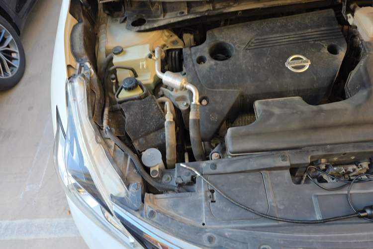 Used Nissan Murano 2019 2.5L XE Two-Wheel Drive Elite Version China VI Standard Engine Bay Right
