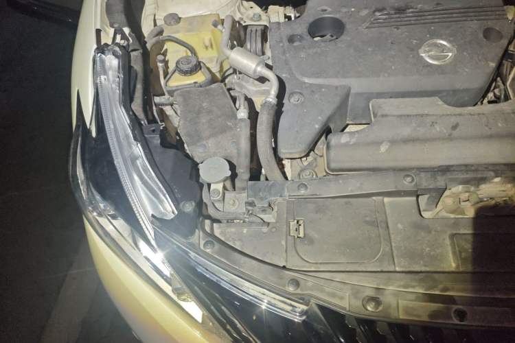Used Nissan Murano 2019 2.5L XL Plus Two-Wheel Drive SmartConnect Leading Edition China VI Standard Engine Bay Right