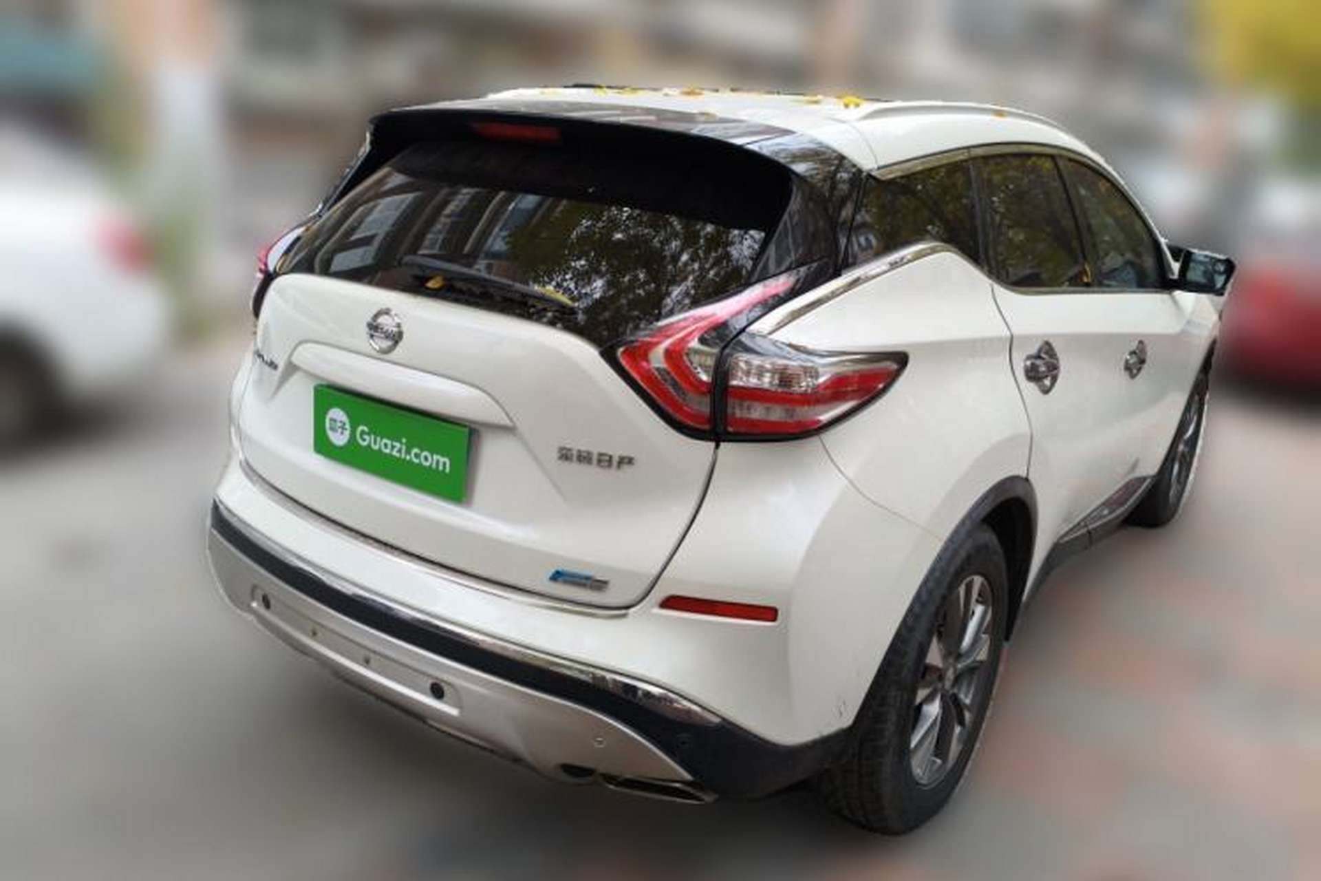 Used Nissan Murano 2019 2.5L XL Two-Wheel Drive SmartConnect Luxury Edition China V Standard Rear Right 45 Deg