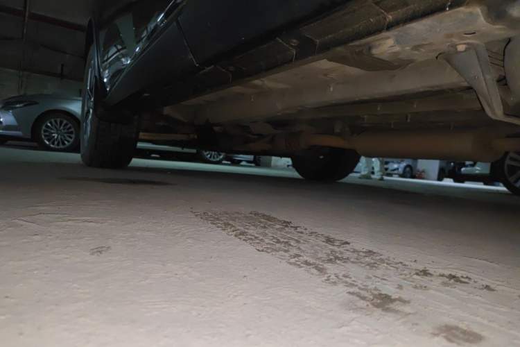 Used Nissan Murano 2021 2.5L XL Plus Two-Wheel Drive SmartConnect Leading Edition Chassis Rear Left
