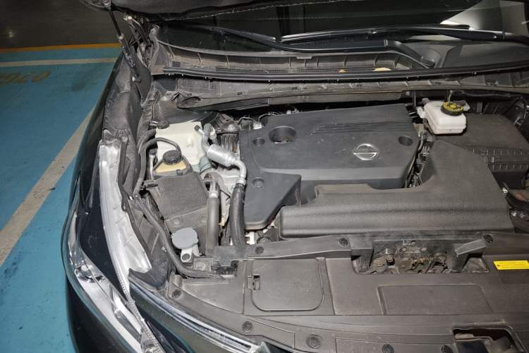Used Nissan Murano 2021 2.5L XE Two-Wheel Drive Elite Edition Engine Bay Right