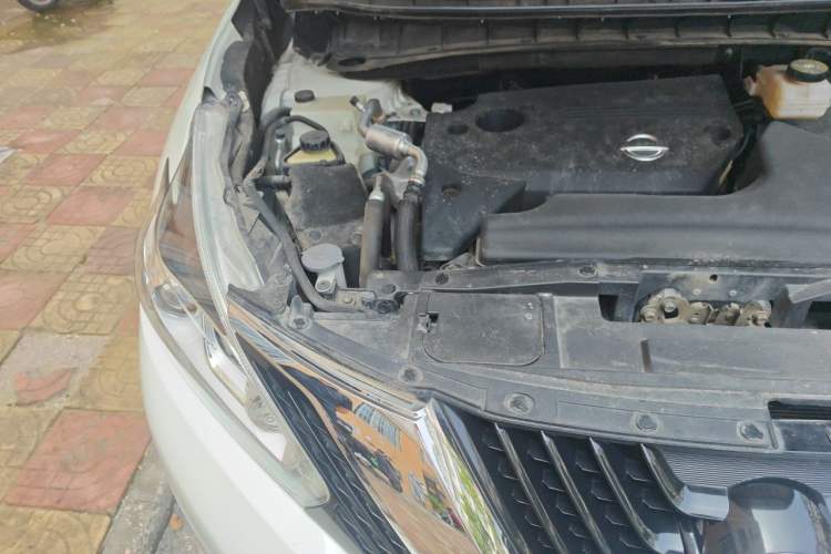 Used Nissan Murano 2021 2.5L XE Two-Wheel Drive Elite Edition Engine Bay Right