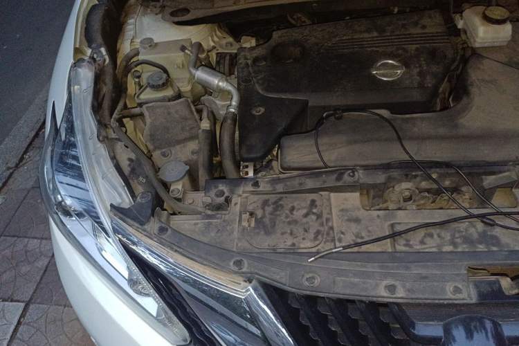 Used Nissan Murano 2021 2.5L XL Two-Wheel Drive Smart Connect Luxury Edition Engine Bay Right