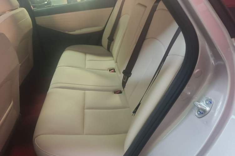 Used Nissan N6 2026 Model 180 Max+ Left Rear Seat