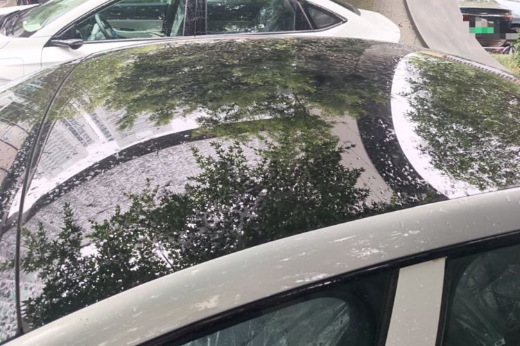 Used Nissan N7 2025 510 Pro Roof