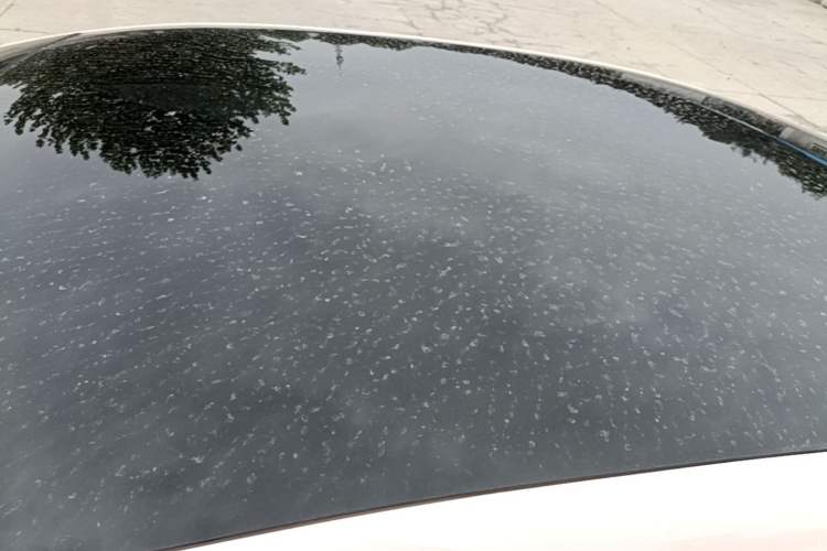Used Nissan N7 2025 510 Max Roof
