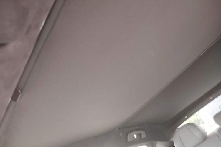 Used Nissan N7 2025 510 Max Headliner