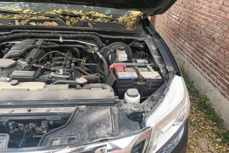 Used Nissan Navara 2017 2.5L Automatic 4x4 Luxury Edition QR25 Engine Bay Left
