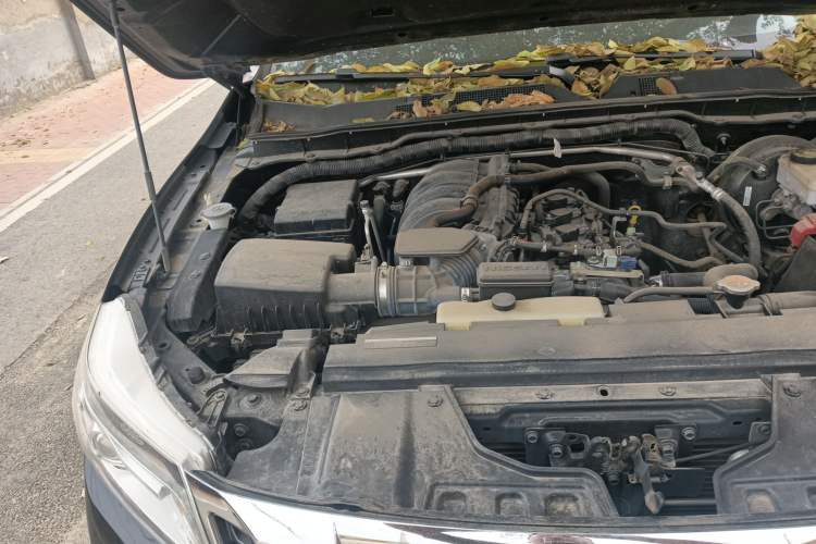 Used Nissan Navara 2017 2.5L Automatic 4x4 Luxury Edition QR25 Engine Bay Right