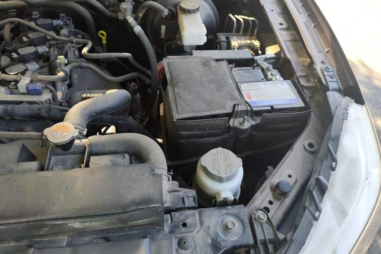 Used Nissan Navara 2017 2.5L Automatic 4x4 Luxury Edition QR25 Engine Bay Left
