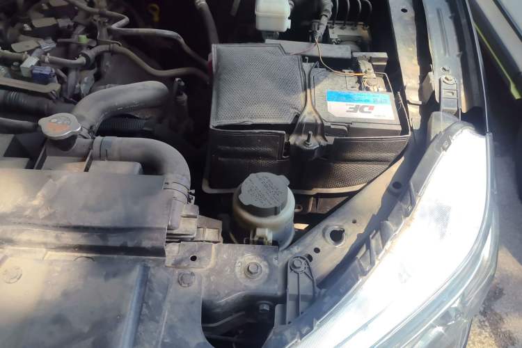 Used Nissan Navara 2017 2.5L Automatic 4x4 Luxury Edition QR25 Engine Bay Left