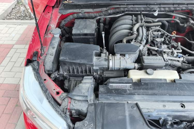 Used Nissan Navara 2017 2.5L Automatic 4x4 Luxury Edition QR25 Engine Bay Right