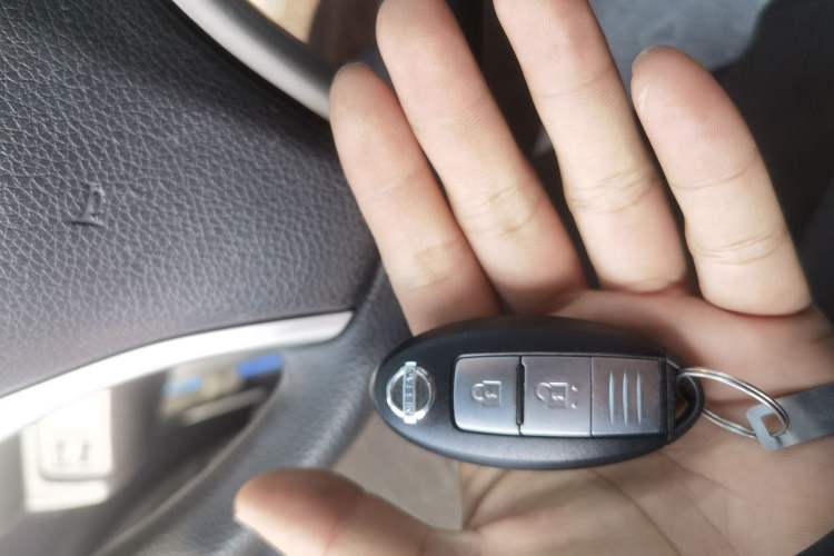 Used Nissan Navara 2019 2.5L Manual Two-Wheel Drive Comfort Version China VI QR25 Interior 1