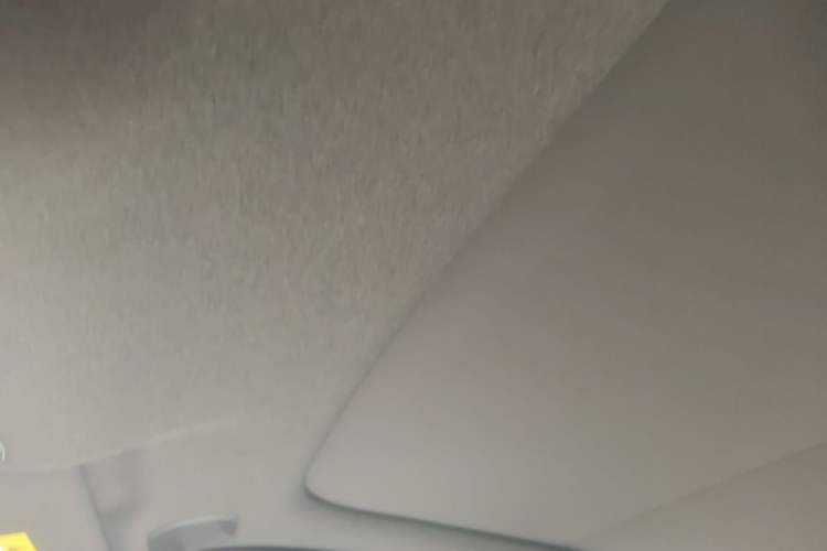 Used Nissan NX8 2026 Model, Pure Electric 650 Max Headliner