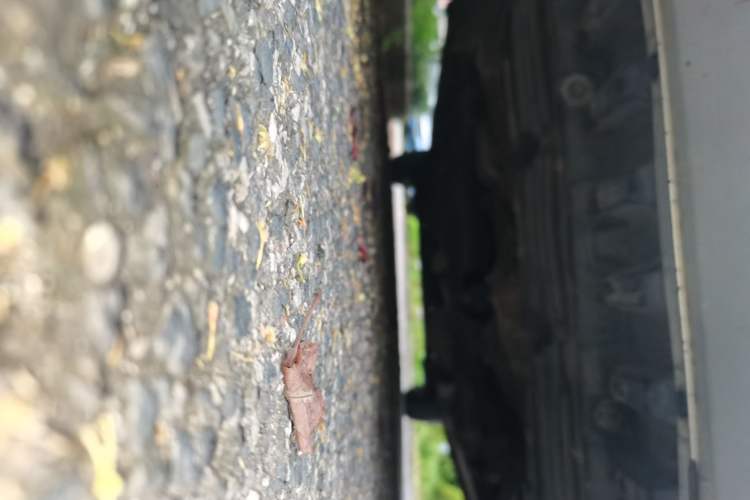 Used Nissan NV200 2010 1.6L Luxury Model Chassis Front