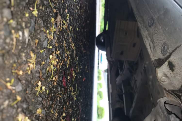 Used Nissan NV200 2010 1.6L Luxury Model Chassis Front Right