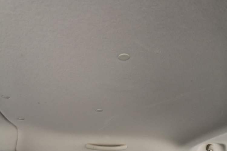 Used Nissan NV200 2014 1.6L CVT Zunya Model China IV Standard Headliner