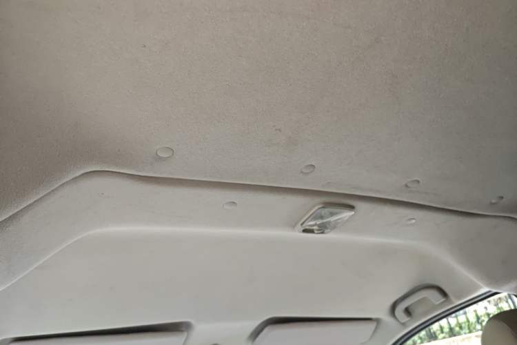 Used Nissan NV200 2014 1.6L CVT Zunya Trim China V Standard Headliner