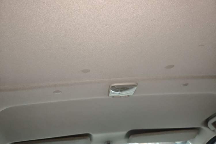 Used Nissan NV200 2014 1.6L CVT Zunya Model China IV Standard Headliner