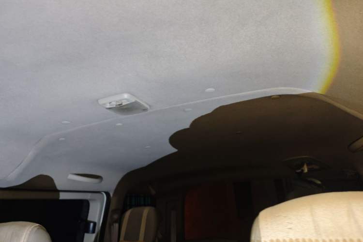 Used Nissan NV200 2014 1.6L Manual Luxury Model China IV Standard Headliner