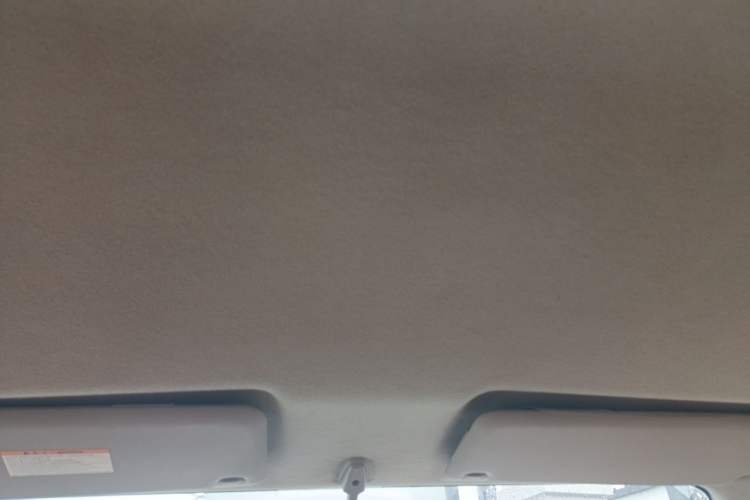 Used Nissan NV200 2014 1.6L CVT Luxury Model China IV Standard Headliner
