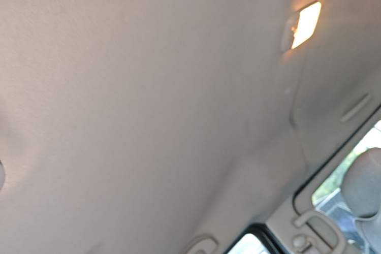 Used Nissan NV200 2016 Revised Version 1.6L CVT Luxury Edition Headliner