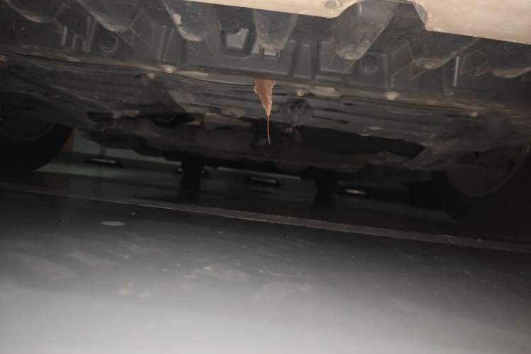 Used Nissan NV200 2016 1.6L CVT Luxury Model Chassis Front