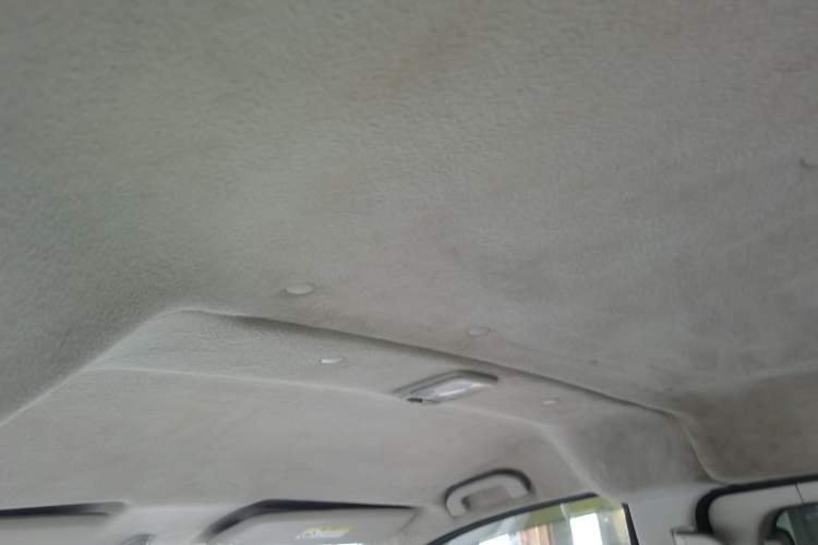 Used Nissan NV200 2018 1.6L CVT Luxury Model Headliner