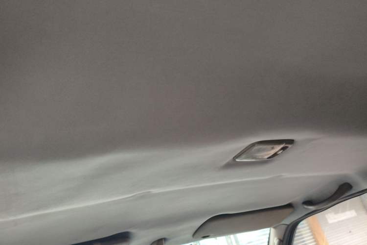 Used Nissan Paladin 2008 2.4L Two-Wheel-Drive Standard Version Headliner