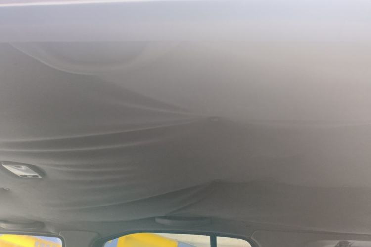 Used Nissan Paladin 2008 2.4L Two-Wheel-Drive Standard Version Headliner
