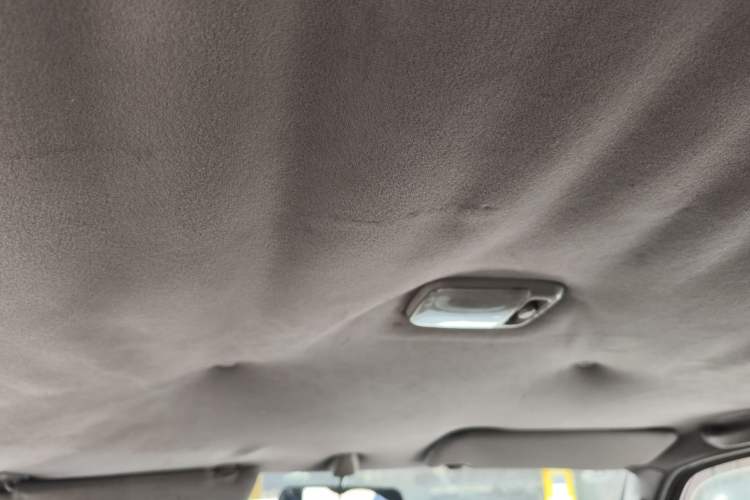 Used Nissan Paladin 2008 2.4L Two-Wheel-Drive Standard Version Headliner