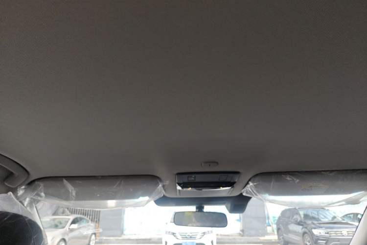 Used Nissan Pathfinder  Headliner
