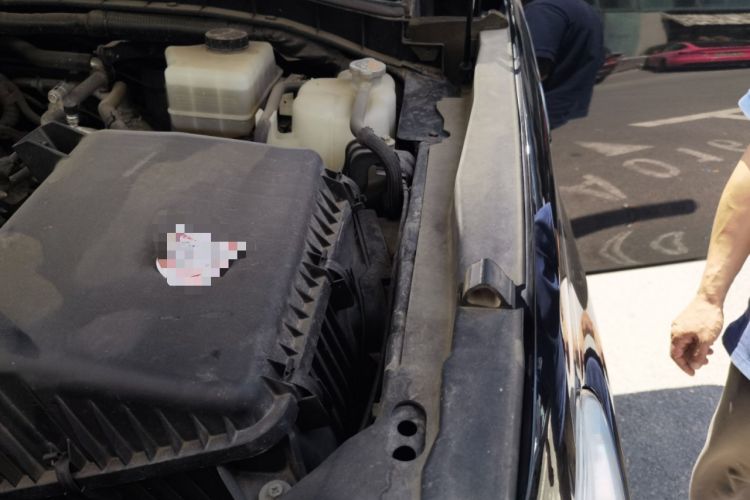 Used Nissan Patrol  Engine Bay Left