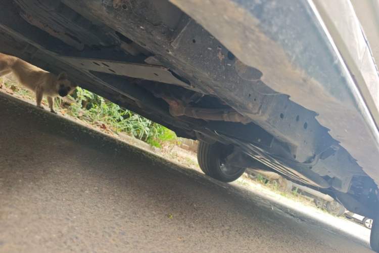 Used Nissan Patrol  Chassis Front Left