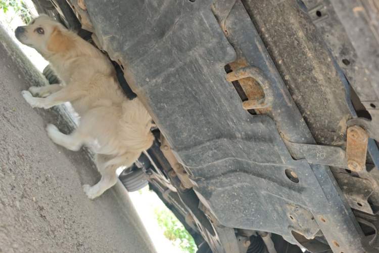 Used Nissan Patrol  Chassis Front