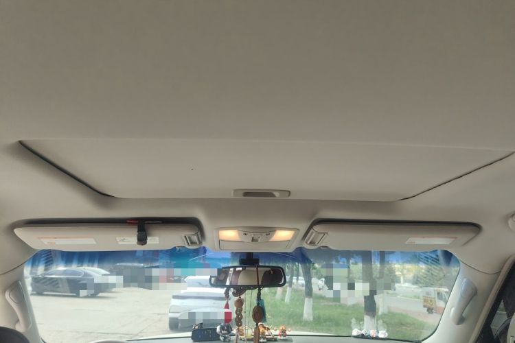 Used Nissan Patrol  Headliner