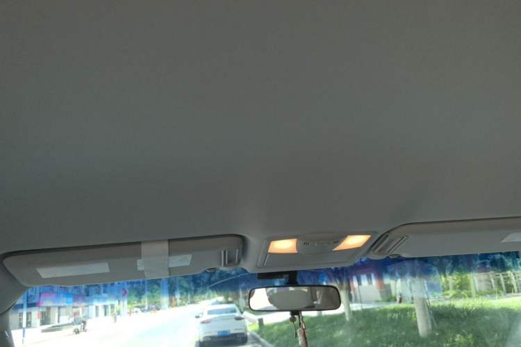 Used Nissan Patrol  Headliner
