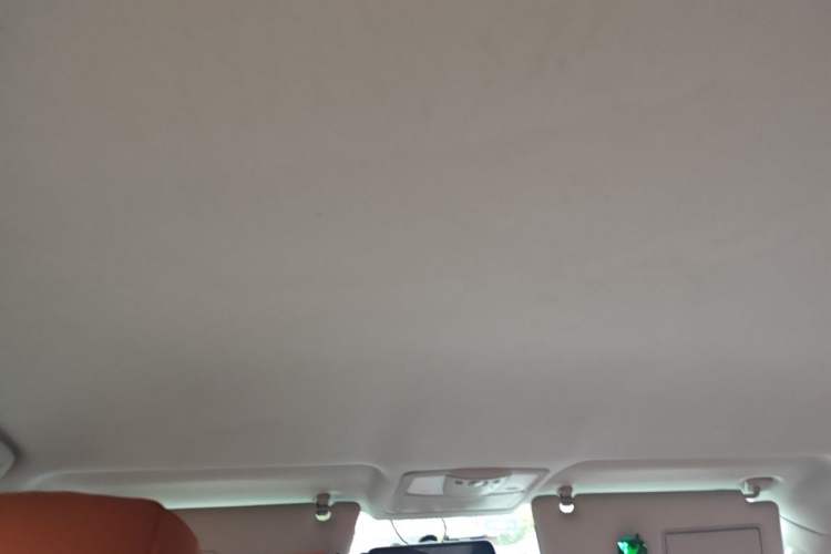 Used Nissan Patrol  Headliner
