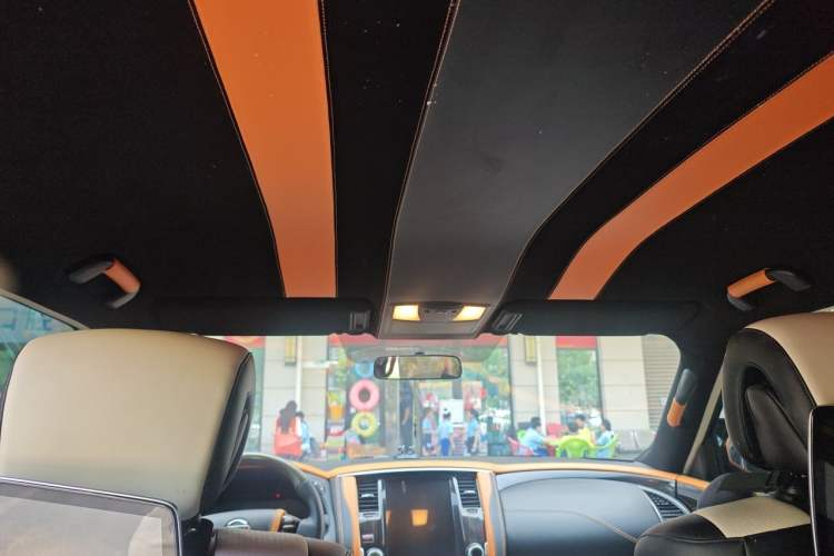 Used Nissan Patrol 2018 4.0L LinkedIn Edition Headliner