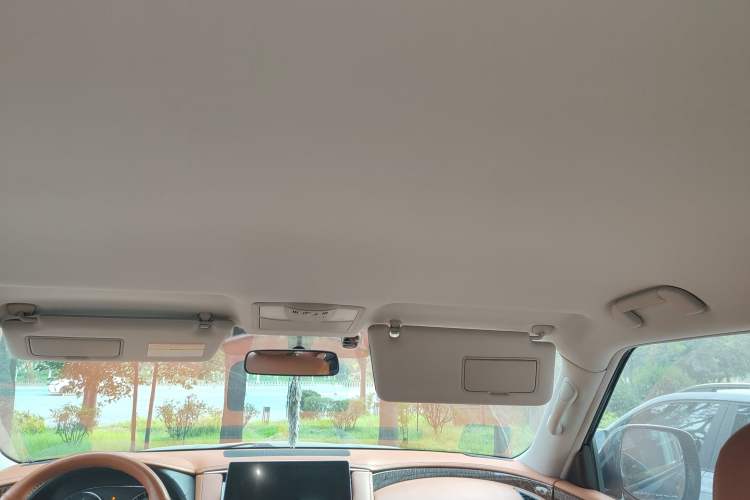 Used Nissan Patrol 2018 4.0L LinkedIn Edition Headliner