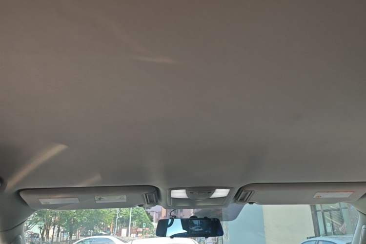 Used Nissan Patrol 2018 Y62 4.0 XE Middle East Headliner
