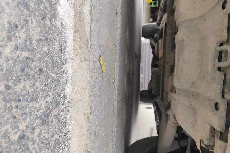 Used Nissan Patrol 2018 4.0L LinkedIn Edition Chassis Front