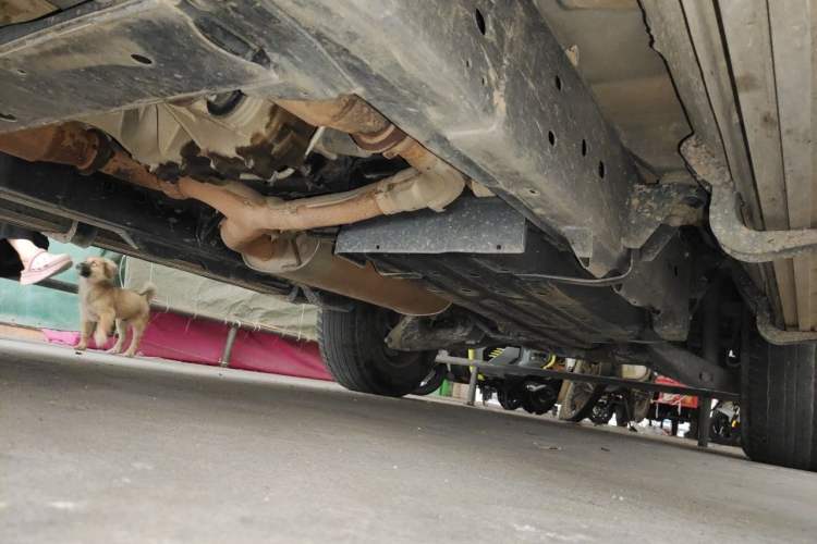 Used Nissan Patrol  Chassis Front Left