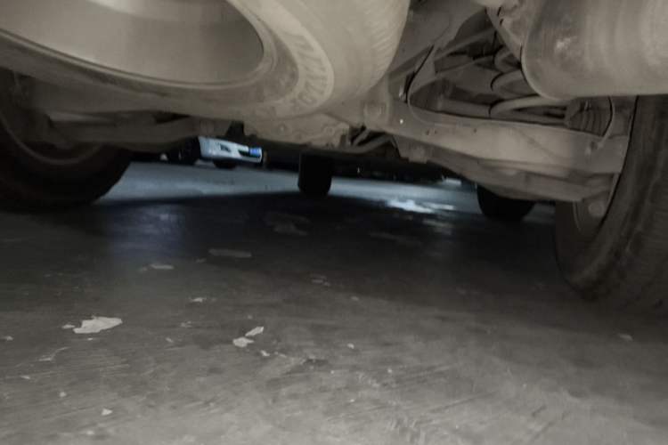 Used Nissan Patrol 2018 Y61 4.8L Automatic 5-Door Safari Middle East Chassis Rear