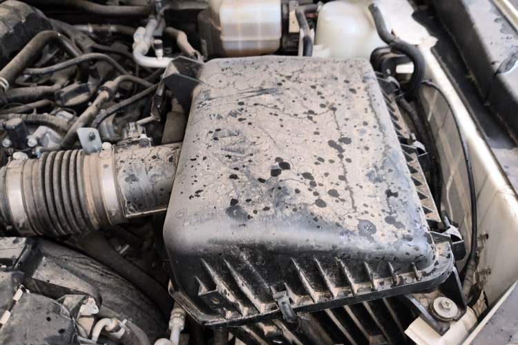 Used Nissan Patrol 2018 4.0L LinkedIn Edition Engine Bay Left
