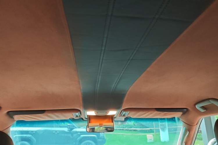 Used Nissan Patrol 2018 4.0L Automatic 7-Seater Middle East Version Headliner