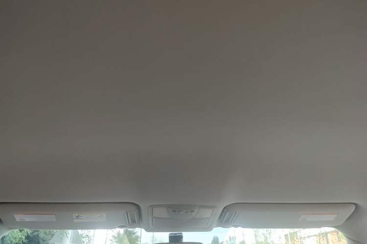 Used Nissan Patrol 2018 4.0L Automatic 7-Seater Middle East Version Headliner