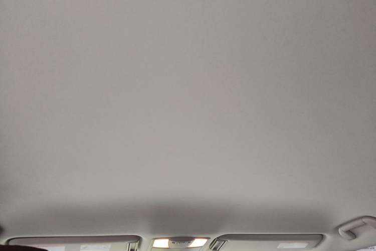 Used Nissan Patrol 2018 4.0L LinkedIn Edition Headliner